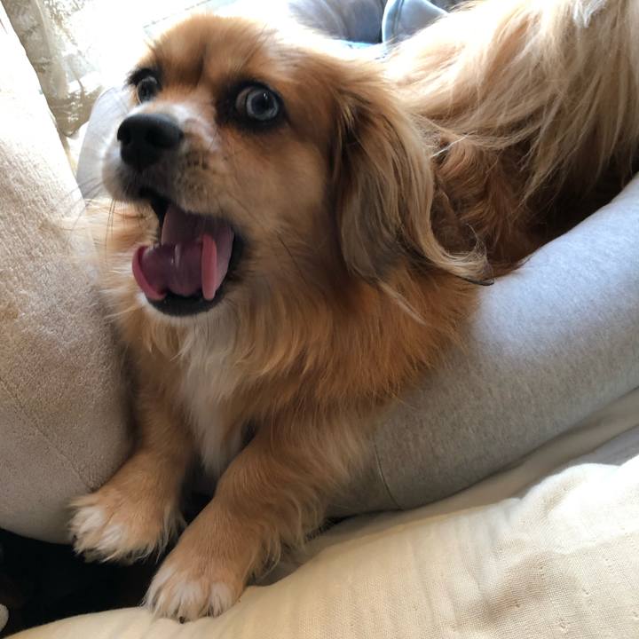 D7e67fd0 e6fa 41fa 9d41 cbf2436c9ac6 1565136291159