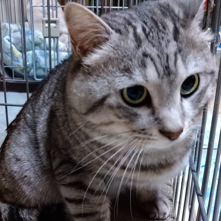 D7e684fa 1489 4a8b 82eb 4cf7821059ea 1672737549319