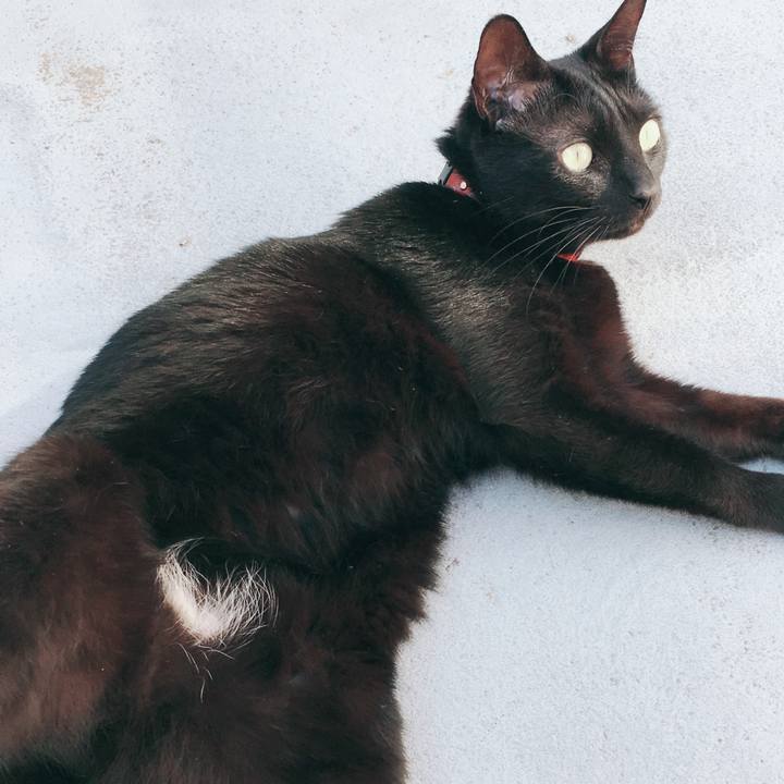 D7e693d4 da53 433d af63 7d83fa0e51b8 1527155675809