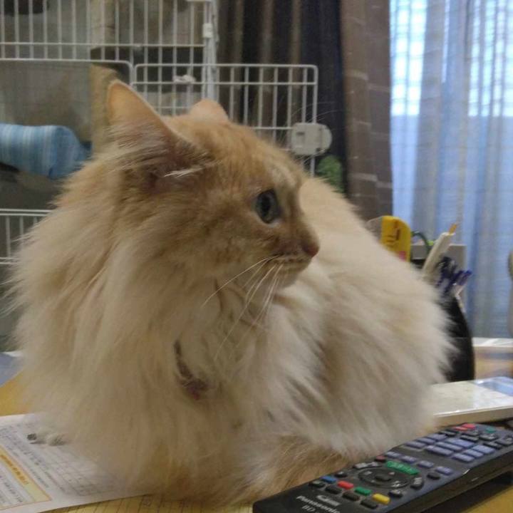 D7e6de00 c47d 4d80 b668 f2a2d7592609 1711104583534