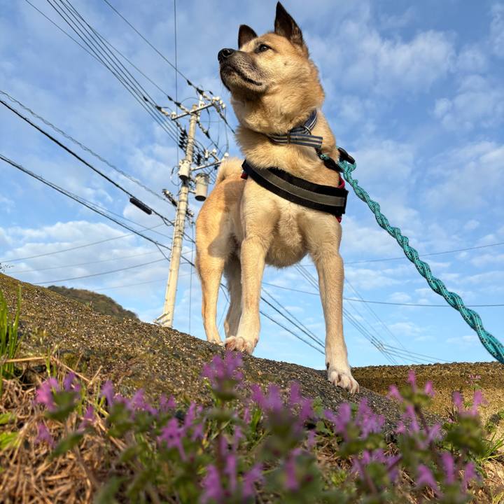 D7e72642 f5a6 438e a409 2a4ad38e090e 1743594455456