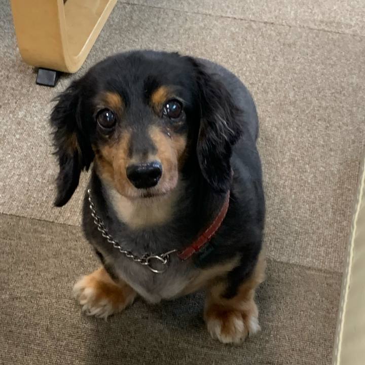 D7e72863 1619 4f14 95e0 138f1f214f44 1593903817895