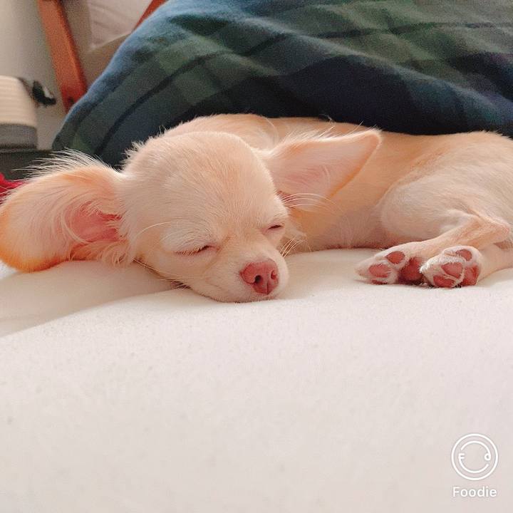 D7e7675c 489f 40b1 934b b8c648a41597 1602627419796