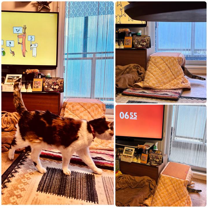 D7e76f6f c9fb 43a2 bf79 f69f00c49ab2 1738879330555