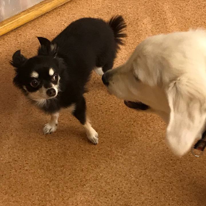 D7e7a404 0ad7 41f5 b571 9143b55d57e4 1508584854583