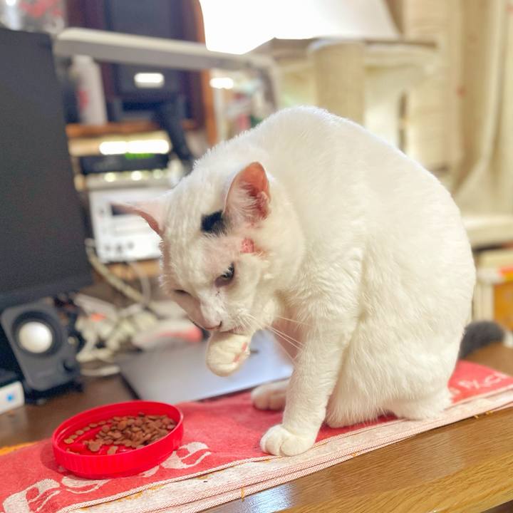 D7e7c661 e683 4bf2 aaf1 65f4c125f0fc 1757459986499