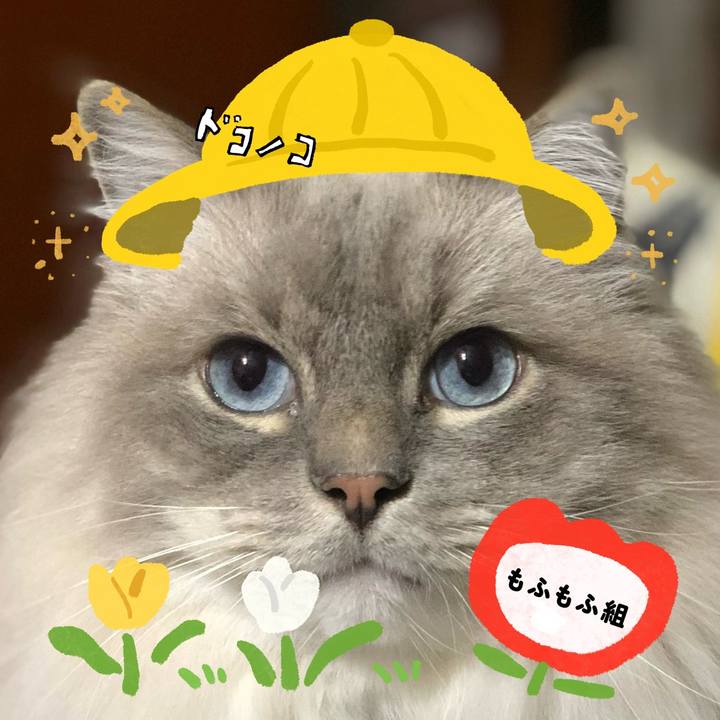 D7e7db6e 4f67 48b2 aa5b 201e7430dca6 1712240715126