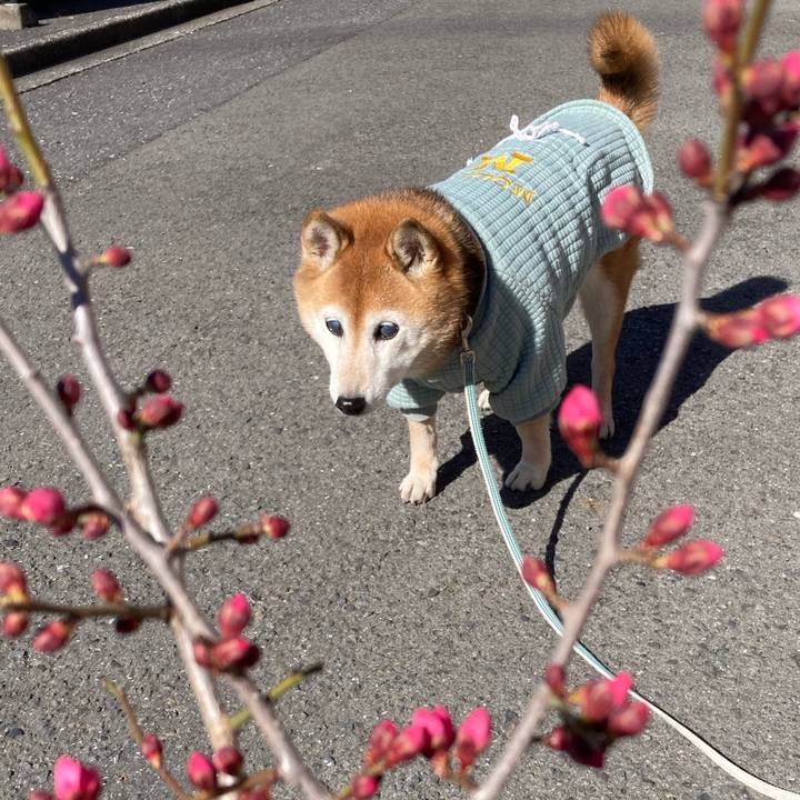 D7e7e59b 9d8a 4706 81cf 762747122e3c 1740024986408