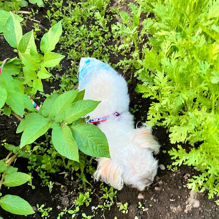 D7e7eccb 40a3 4b81 862d b36cb071aa45 1652491359809