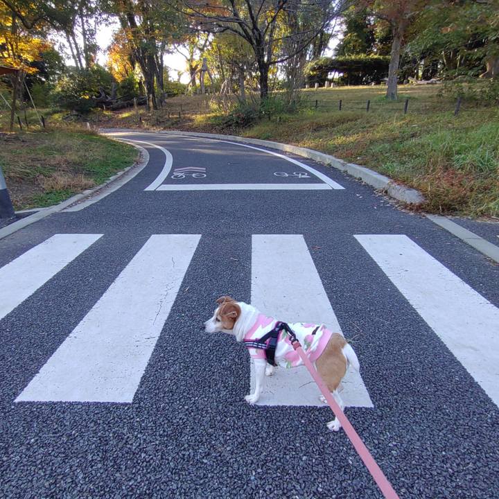 D7e81204 80d2 4128 bb6d 0cf9dad58ac7 1763282341919