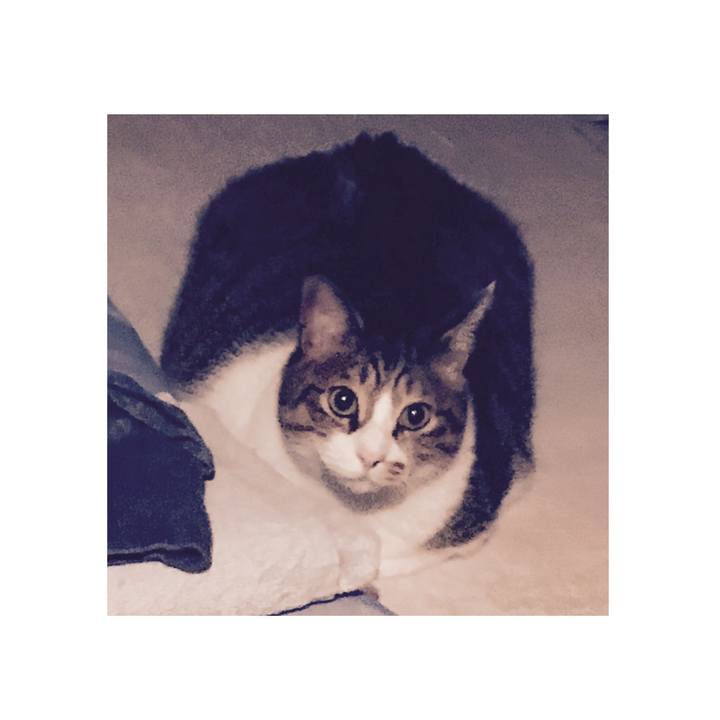 D7e81e0f 427c 4828 9c72 6acbd5652e3c 1587781296411