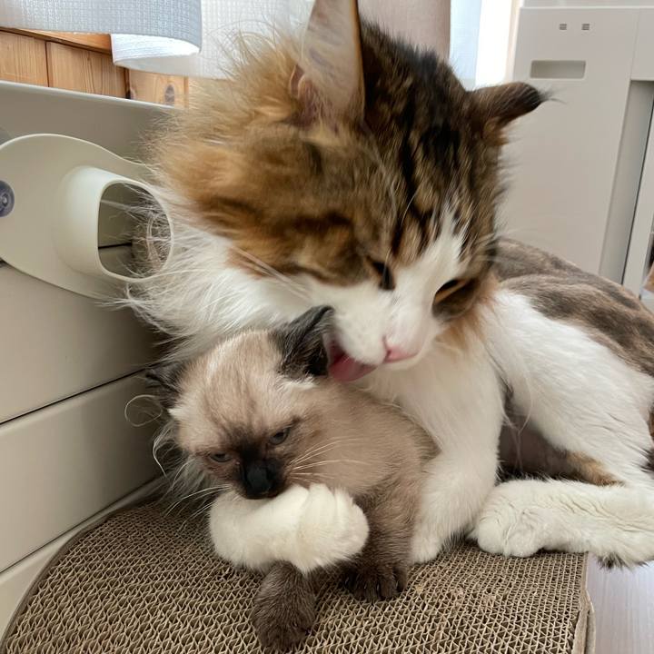 D7e8711d e8d4 40b1 991a 34414b8d8965 1687900949189