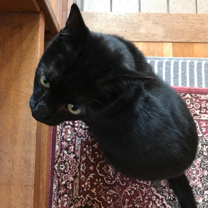 D7e90da2 3ed1 4723 b74b a2158dc5ba61 1510881109539