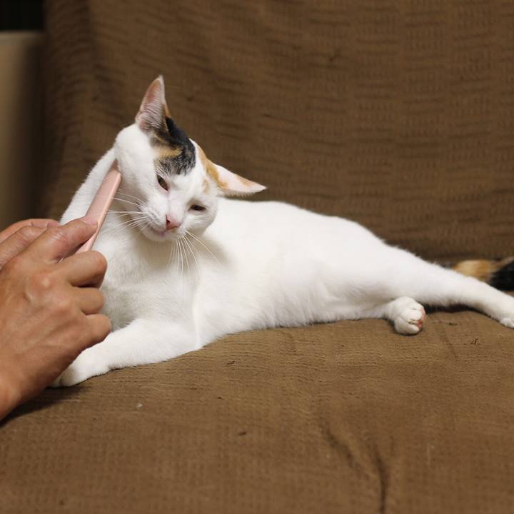 D7e92774 69e0 4ca2 b5ec f7bab125656d 1599472136743