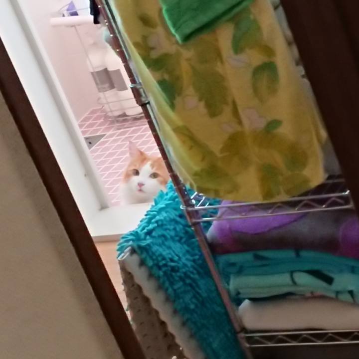 D7e935dc 796b 4f17 b7b6 717e40792f0a 1564709451319