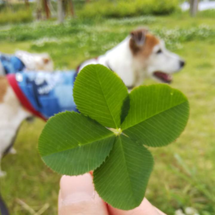 D7e95484 66c7 43c6 87a1 196b5970dd63 1527340004203