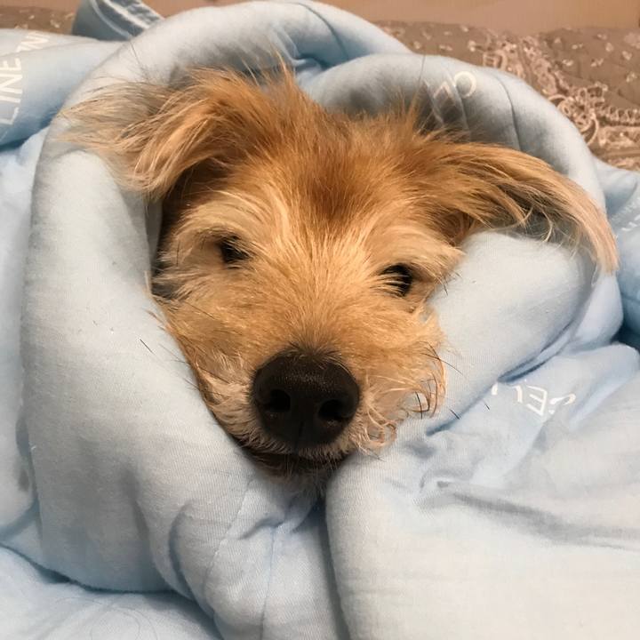 D7e96a11 22a0 4567 b9d3 707f27fd1c8a 1600532215417