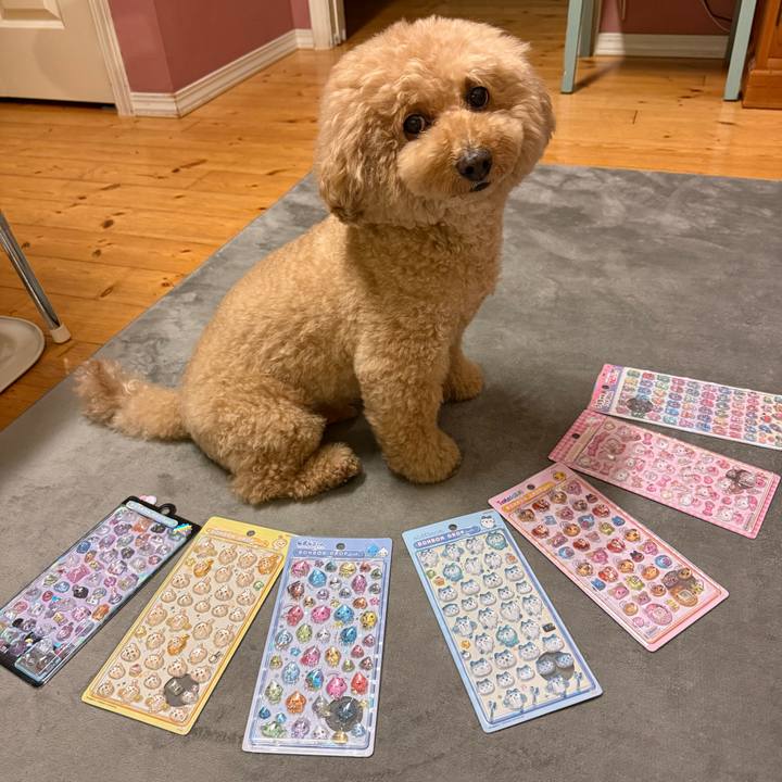 D7e96bf6 8e2a 4bdd acbe 517841e6dcc1 1761475709320