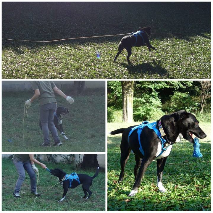 D7e9750c c9c4 44ff ae56 8933229037e5 1633913675373