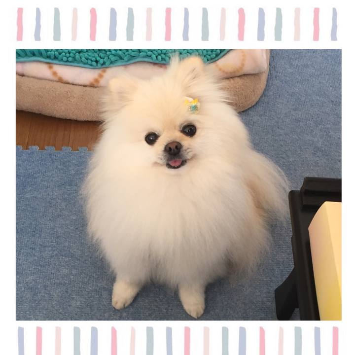 D7e992b6 c8ea 4fca 94bf 8c6d1565bc12 1589173354322