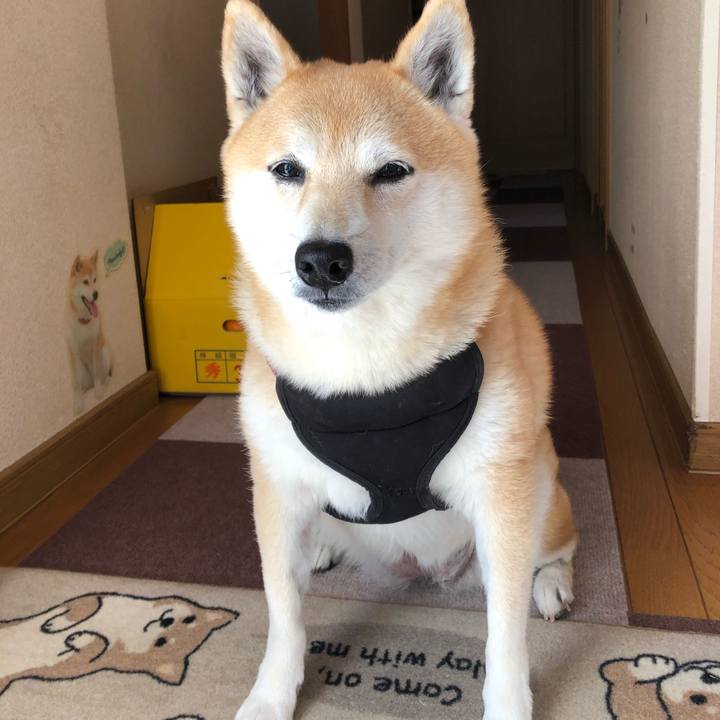 D7e9cfd9 bb8a 45b4 b6be 4607b47f8249 1606365540182