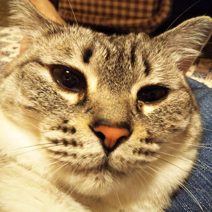 D7e9f4a7 20d3 48d6 9da7 cedcf5f88721 1594994010894