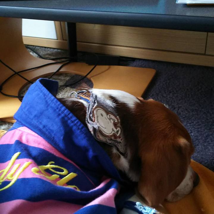 D7ea16a5 d705 4243 b959 d4c81470def3 1585632110768