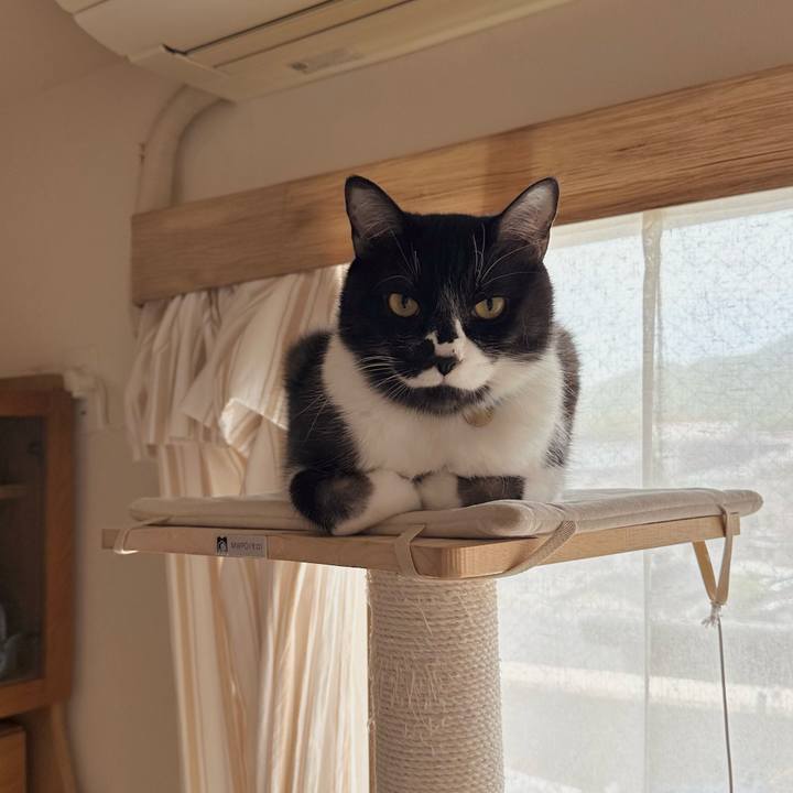 D7ea3977 e044 4bb1 a418 286891ce4006 1776733179970