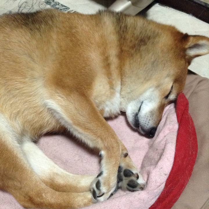 D7ea8202 9b01 4371 9d55 013d3ccdd985 1525844291281