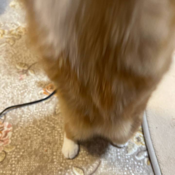 D7ea917d b3ab 4fd4 bbd0 04d3ad4c3d35 1643464545117