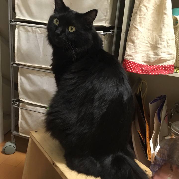 D7ea99c6 bc3f 4ca1 8133 a6dbf79d900f 1516975273451