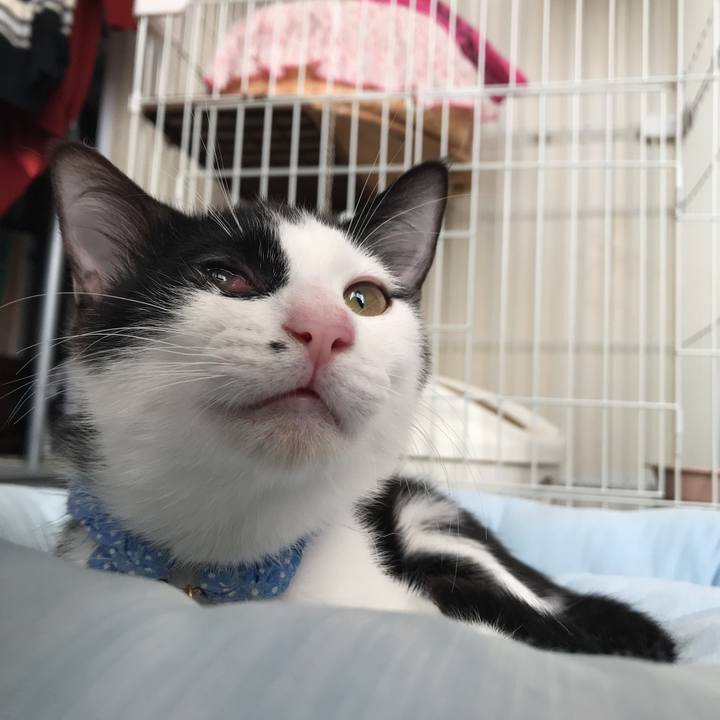 D7eaae69 9113 485e a9fc a962bd80086d 1513643296877