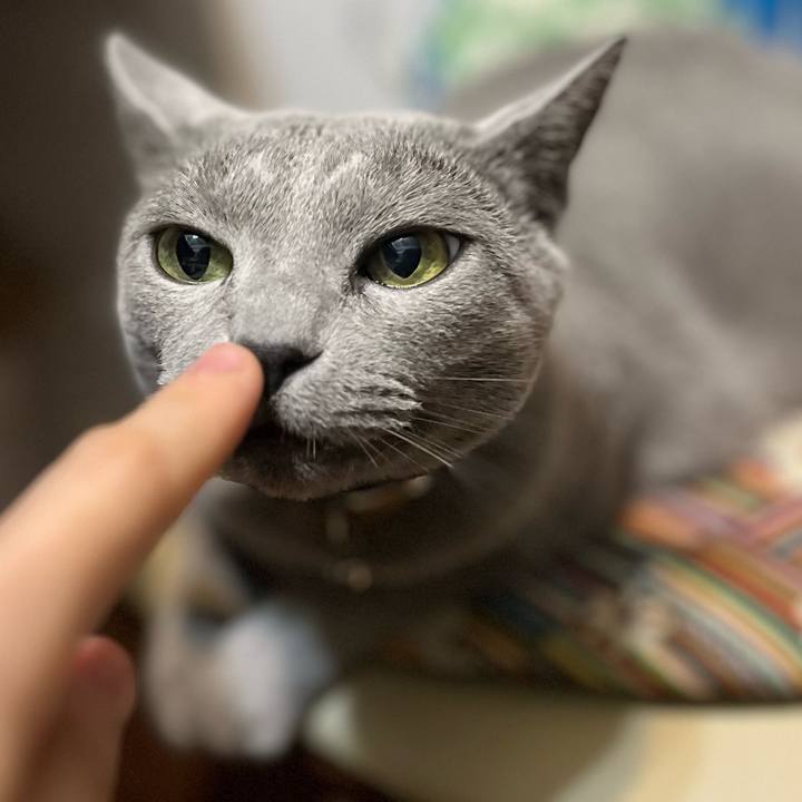 D7eaaf4a da15 4cb3 9d32 1da6732e8b05 1727840326487