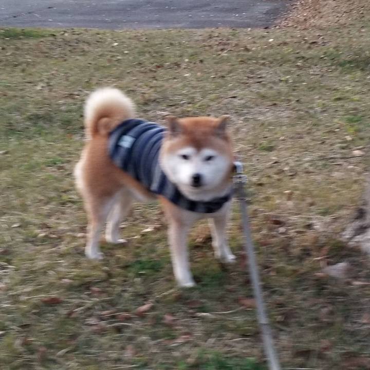 D7eab6fc 24cf 46fc 83a8 eabdf10e932e 1637394476409