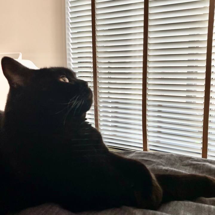 D7eae3da 7ef7 4cc9 b722 baebdcdd66a5 1651830068254