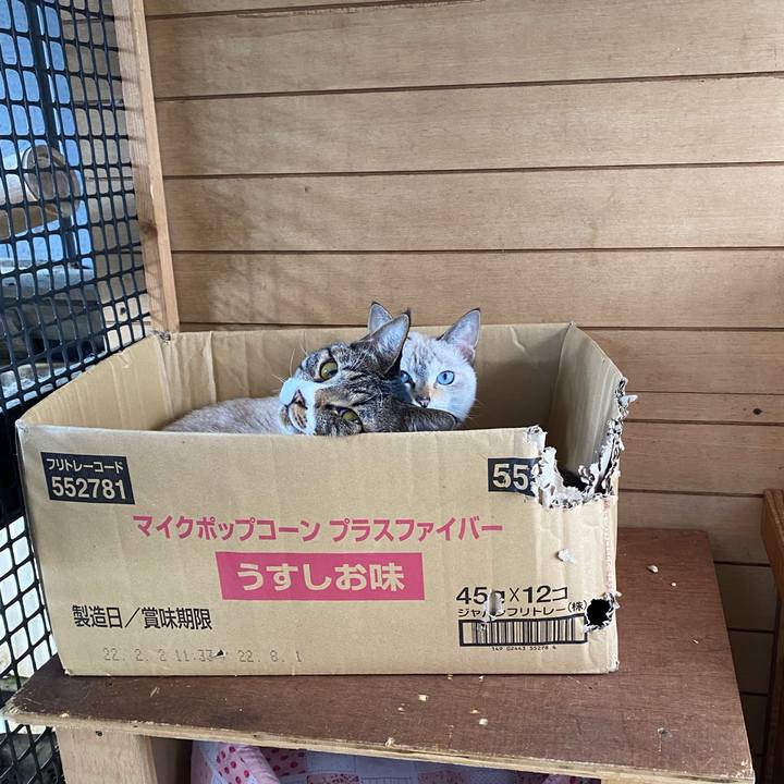 D7eb42ba 897c 4bc4 8d1b 3a981f3fbfd0 1666052325097