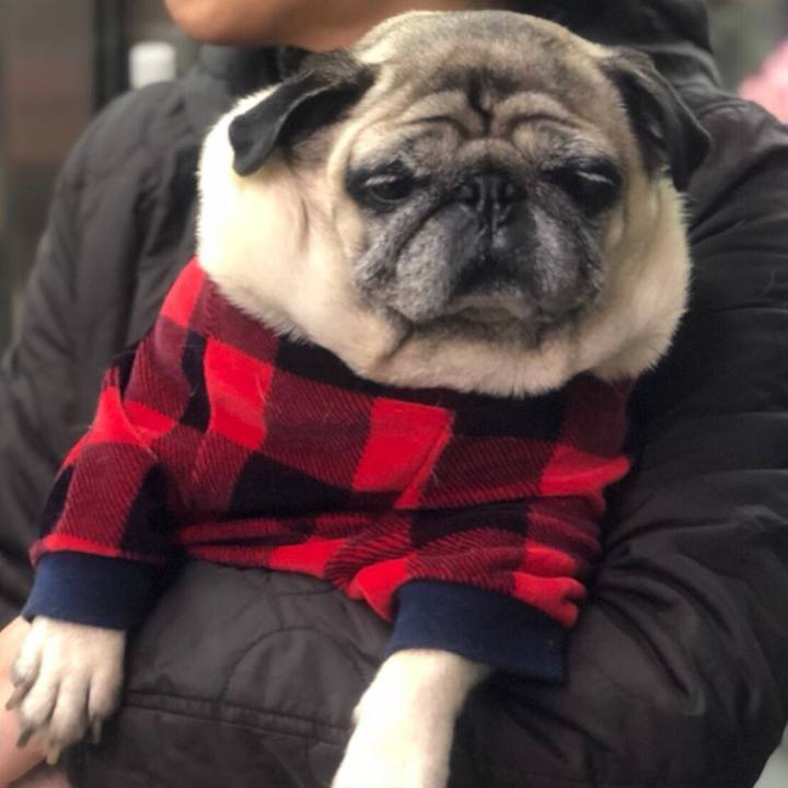 D7eb6f1c b1a9 4cb9 8b9e e4d2f5c0fbe5 1510906265492