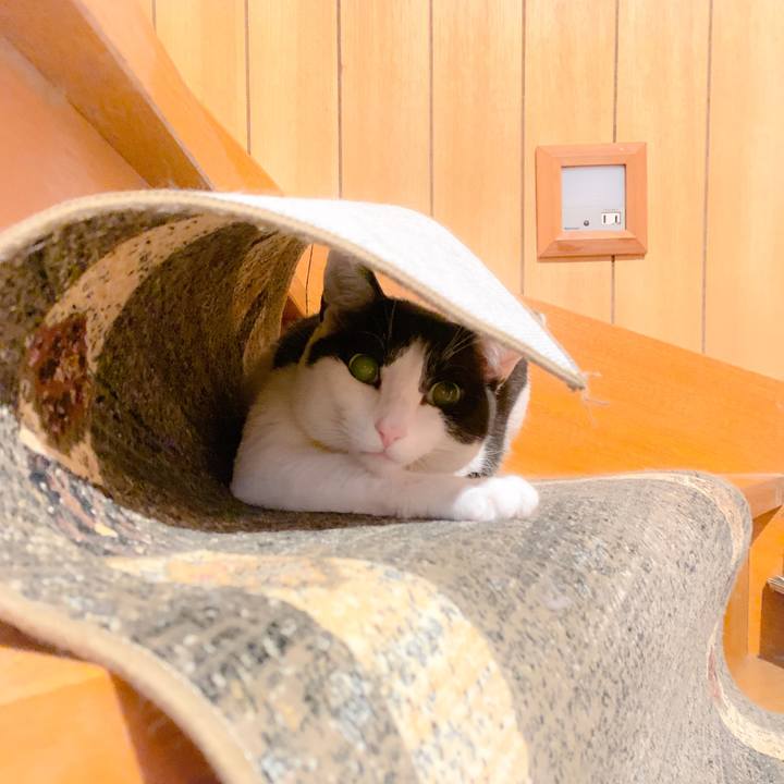 D7eb7baa f1a9 47dc 9f52 59f9351d46a7 1559698671442