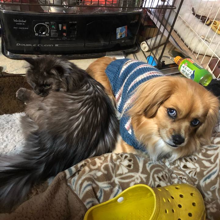 D7ebbdd5 ba67 4e1a 80f0 3868978360b8 1550011035333