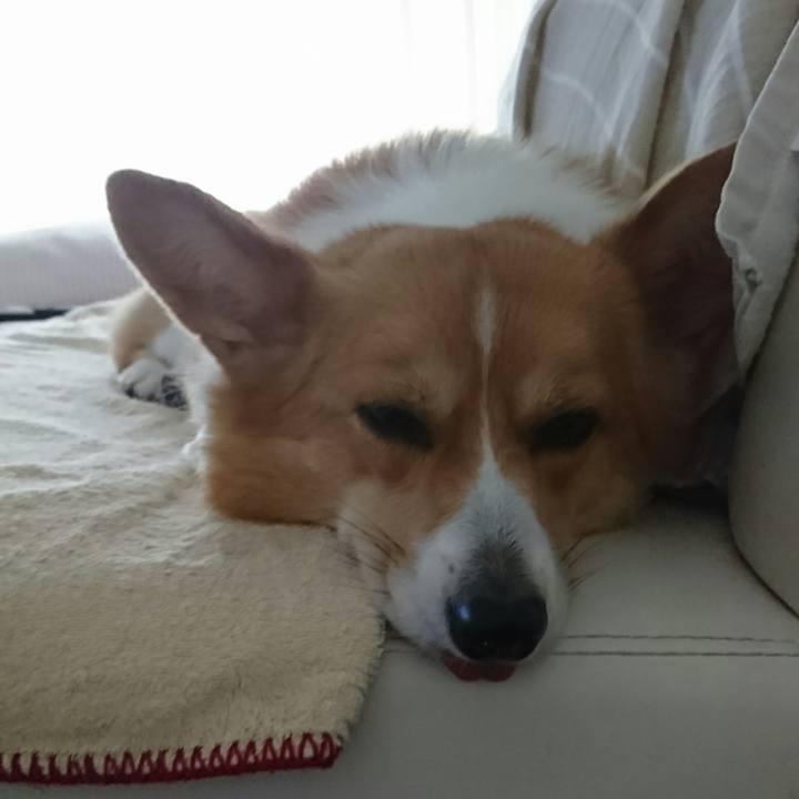 D7ebc747 13ff 4809 b16a 6af9d52fd3fa 1529626095586