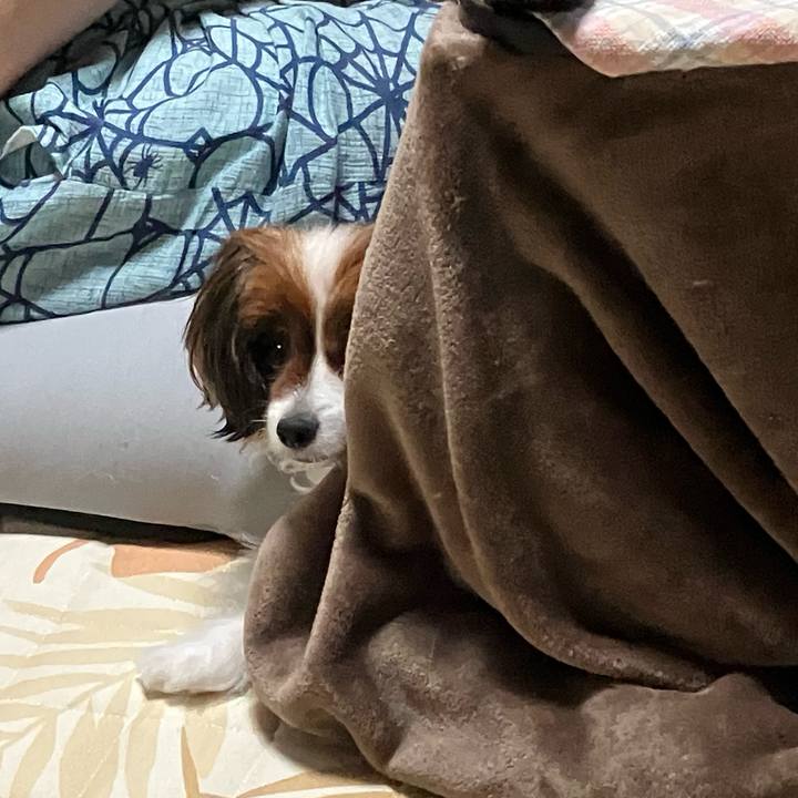 D7ebdacc c59e 416e bc12 154e8f4ec732 1751457702868