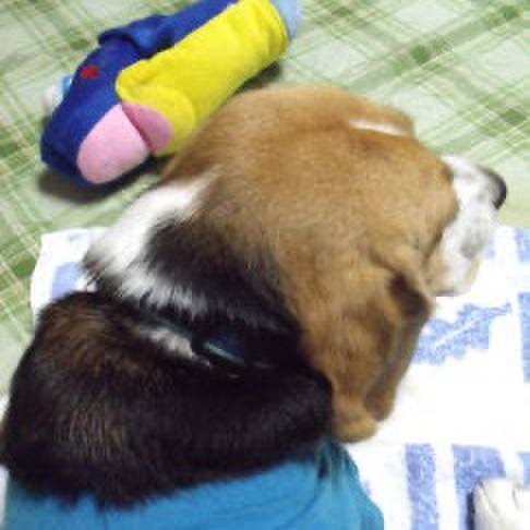 D7ec1ef2 d369 4afb 8c7a e5a62e8cb0ab 1719700304041