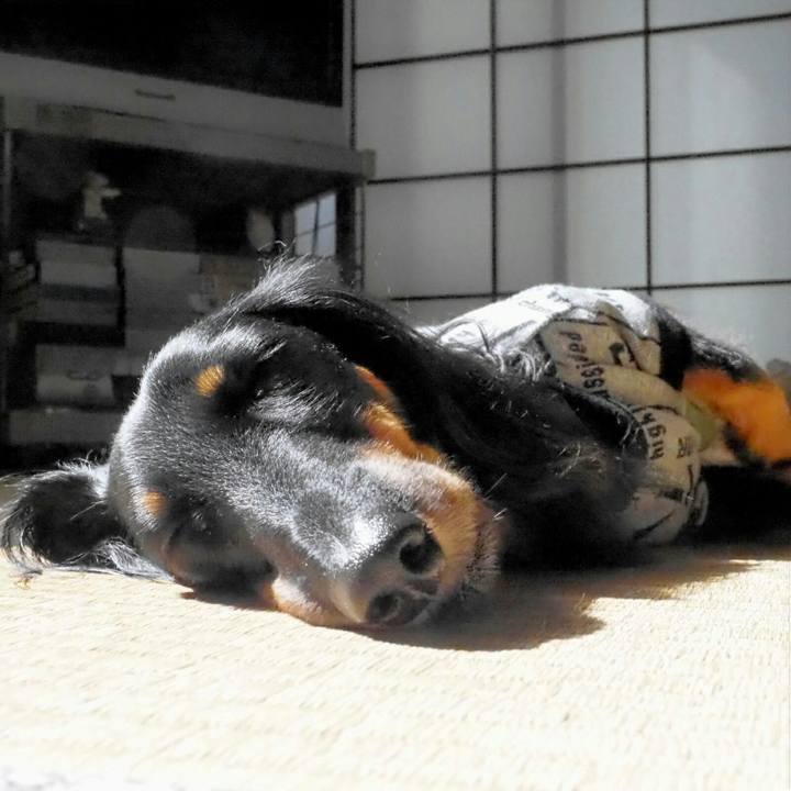 D7ec2a32 3745 40af 9c32 710a0d20d02b 1542259219711