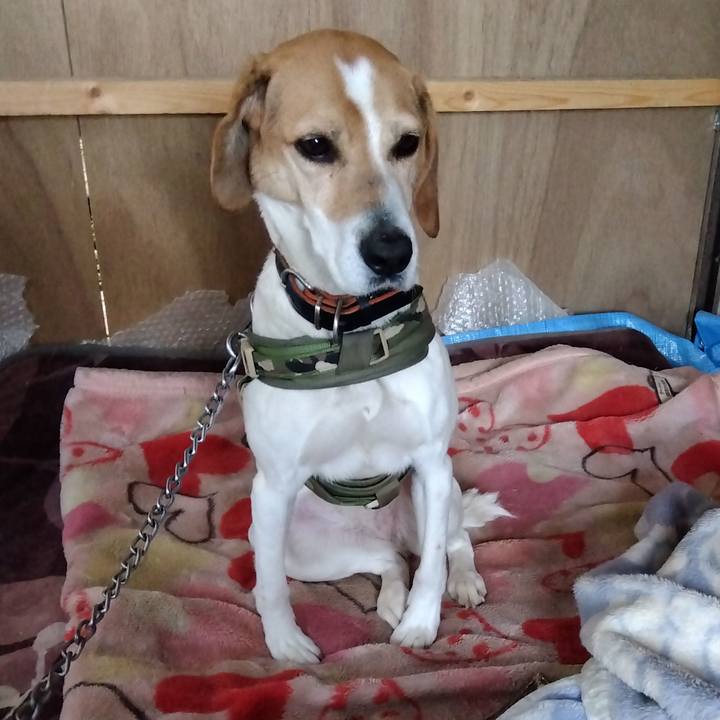 D7ec2d20 4b99 407b 8591 8b6badc67d18 1681386918951