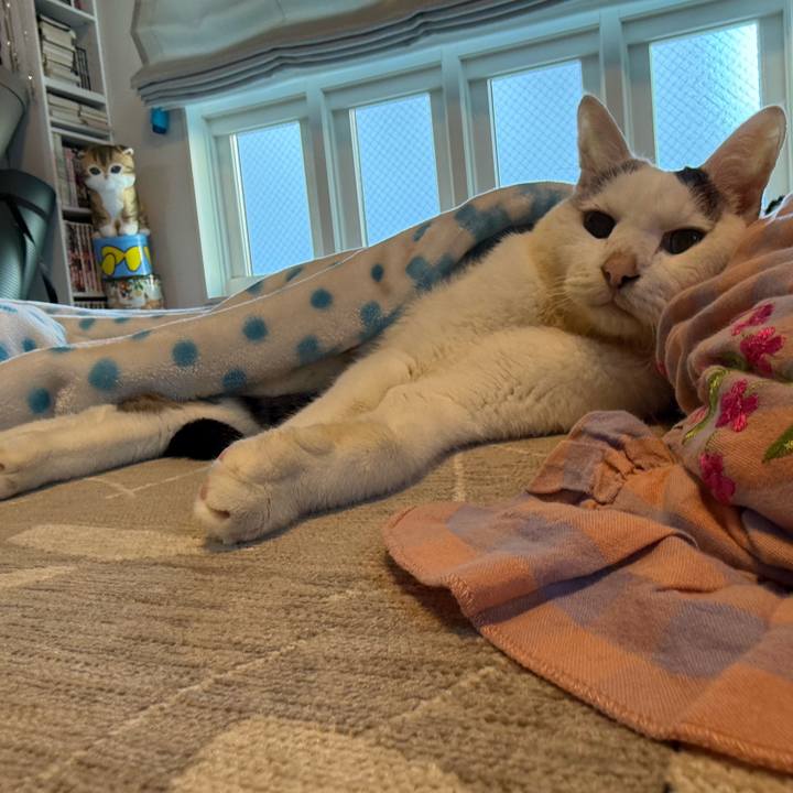 D7ec63cc d96b 4dd6 9f89 e15335313dc9 1767313391382