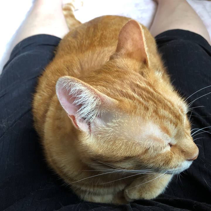 D7ec8042 0e2a 49a6 8847 e255e20326b7 1563831260936