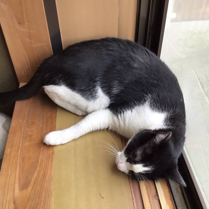 D7ec90cb 7ec7 4087 9082 7353c97f815d 1720087305019