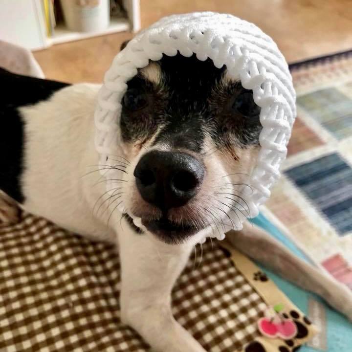 D7ec9c52 c8fc 4a5d 83a3 004f73be28ba 1693264174698