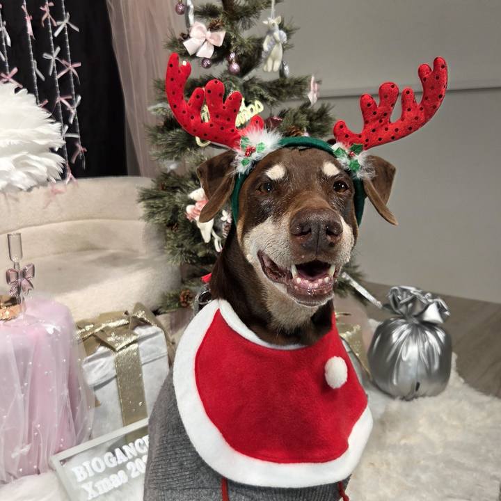 D7ec9e83 bfa3 4992 a597 f6831f6c1e0f 1766642905940