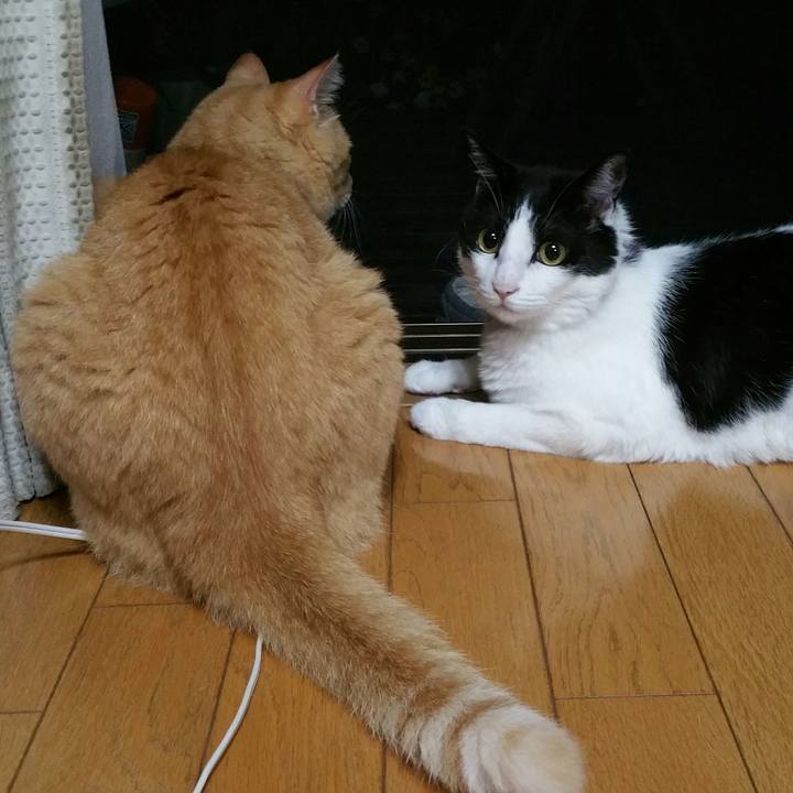 D7eca584 f7b8 43a2 94d0 c602cfc18237 1566008941496